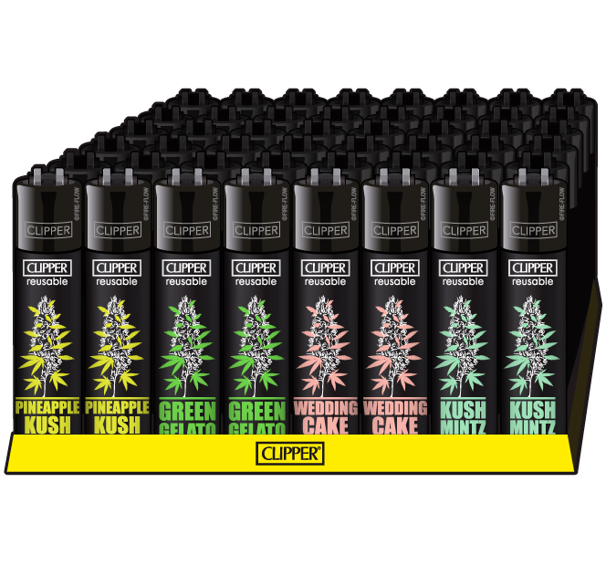 B48 CLIPPER CLASSIC Large PLANTZ #6